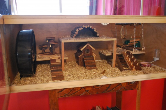 Fabriquer Une Cabane En Bois Pour Cochon D Inde : Smoothie ! – Hamsters, cochons d’Inde, lapins… – FORUM Animaux Fabriquer Une Cabane En Bois Pour Cochon D Inde : Smoothie ! – Hamsters, cochons d’Inde, lapins… – FORUM Animaux