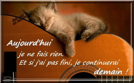 Afficher l'image d'origine