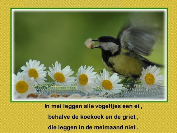 In Mei Leggen Alle Vogeltjes Een Ei