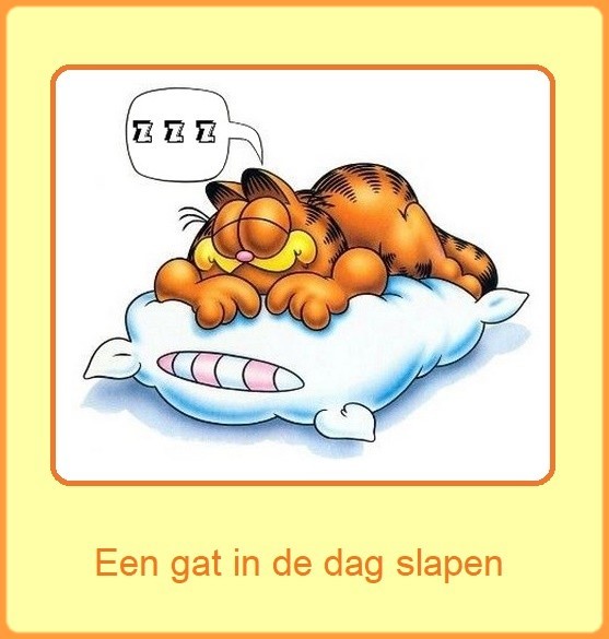 Tussen wal en schip vallen Nederlandse gezegden, spreekwoorden; expressions, proverbes Tussen wal en schip vallen Nederlandse gezegden, spreekwoorden; expressions, proverbes