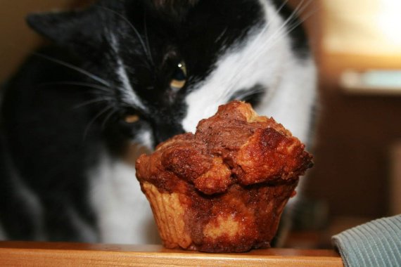 Lymphome Dans Les Yeux