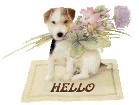 symptome cancer du foie discussion board colon cancer on xray