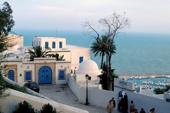 paysage-de-tunisie