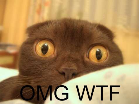 image drole wtf