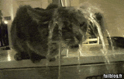 Résultat de recherche d'images pour Résultat de recherche d'images pour