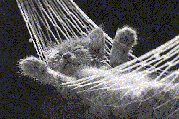 http://aws-cf.imdoc.fr/prod/photos/3/5/3/874353/1960784/img-1960784fa8.gif?v=0