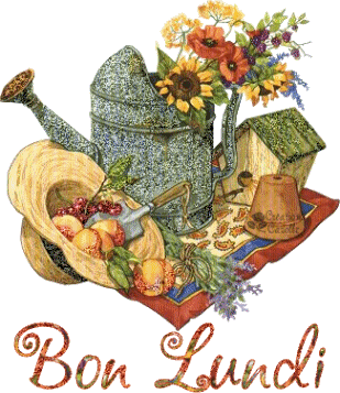 Afficher l'image d'origine