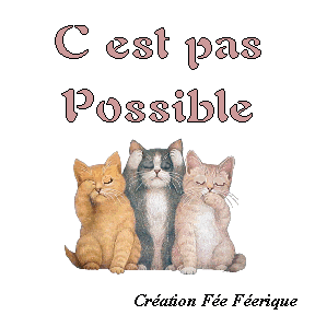 Résultat de recherche d'images pour "non, c'est pas possible???"