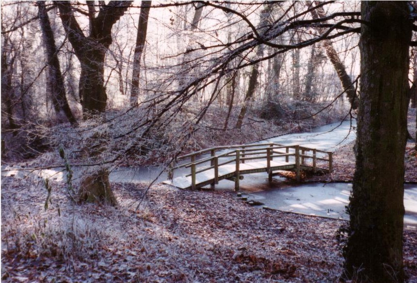 Bois de Boulogne (Lille) sous le givre 2 Bois de Boulogne à Lille franeckc Photos Club