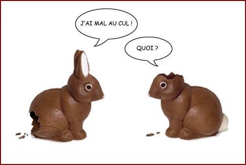 Afficher l'image d'origine