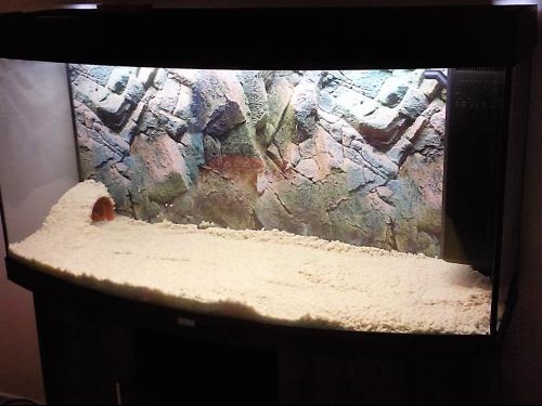 comment decorer un aquarium