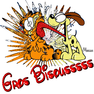 Afficher l'image d'origine