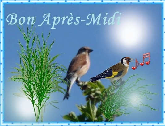 Résultat de recherche d'images pour "bon après midi soleil"