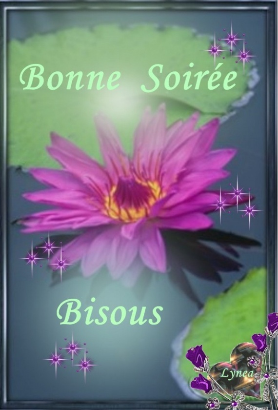 Image result for images bonne soirée bisous