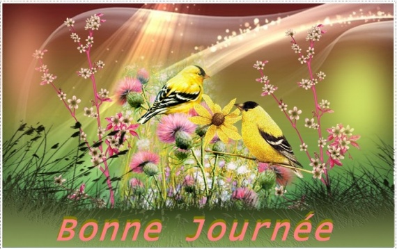 Afficher l'image d'origine