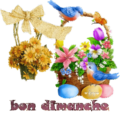 Afficher l’image source Résultat d’images pour image dimanche oiseaux