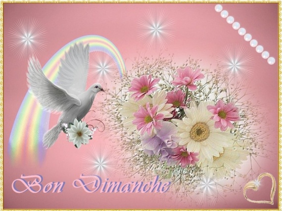 Afficher l'image d'origine