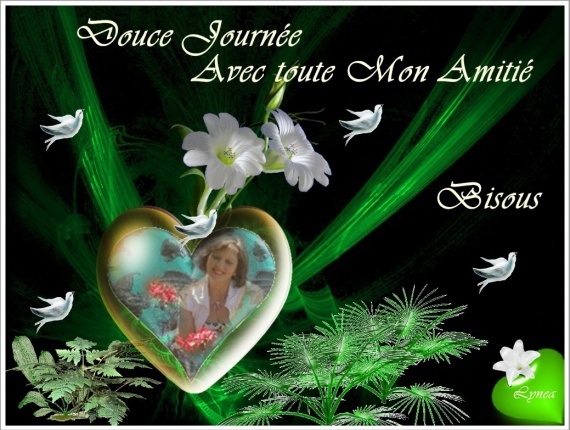 Résultat de recherche d'images pour