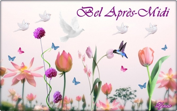 Résultat de recherche d'images pour "bel aprem"