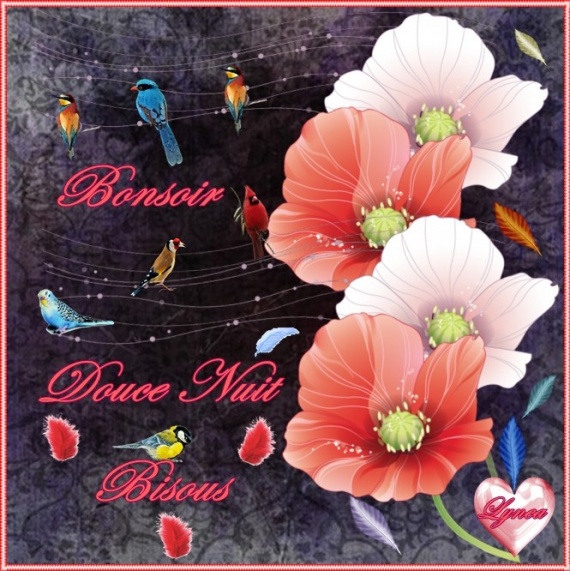 Résultat de recherche d'images pour "images bonne soirée et bisous"