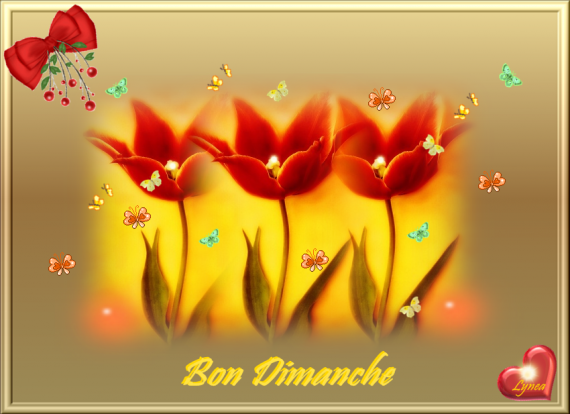 Afficher l'image d'origine