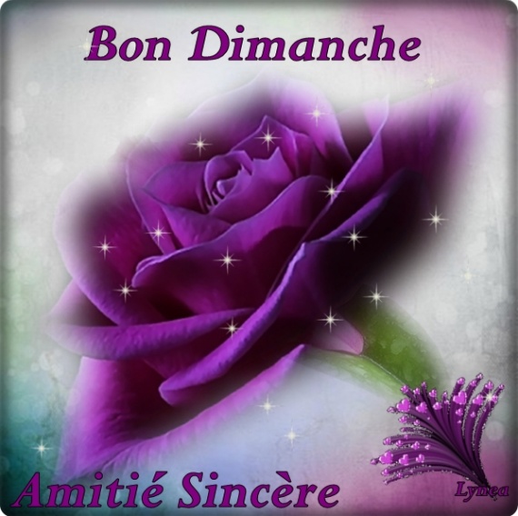 Afficher l'image d'origine