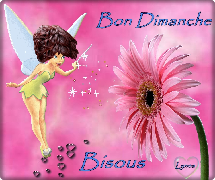 Afficher l'image d'origine