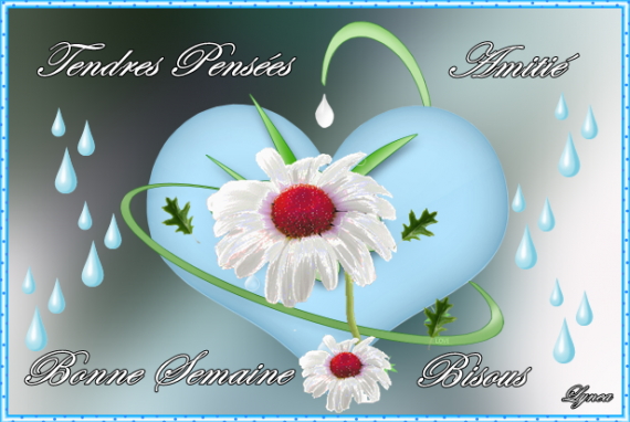 Résultat de recherche d'images pour "bonne semaine"