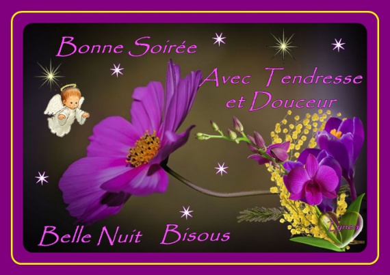 Résultat de recherche d'images pour "image de bonne soirée et douce nuit"