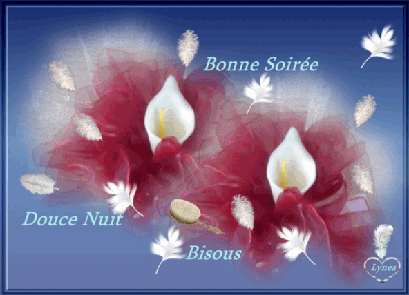 Résultat de recherche d'images pour Résultat de recherche d'images pour