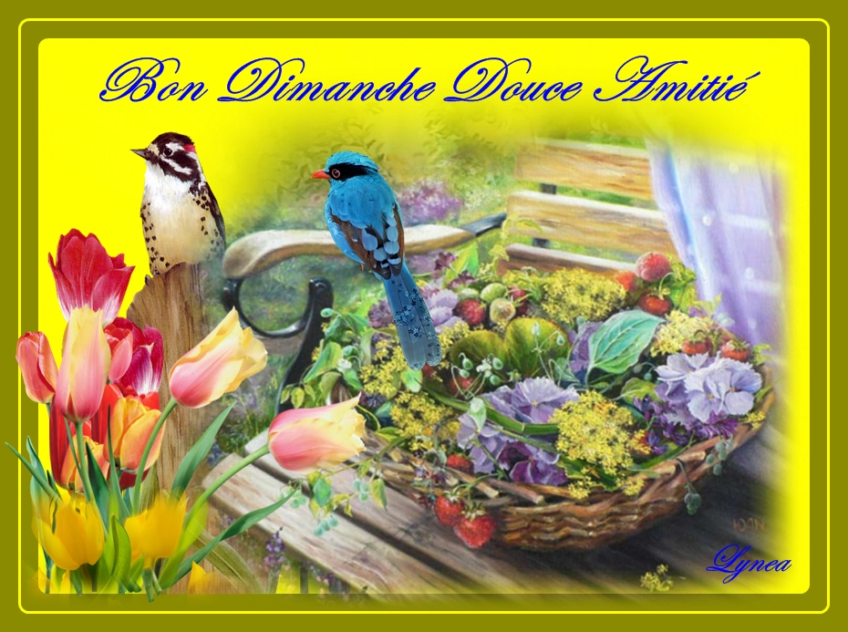 RÃ©sultat de recherche d'images pour "image bon dimanche avec le soleil"