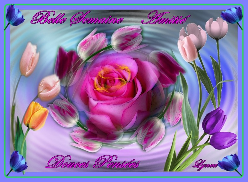 Afficher l'image d'origine