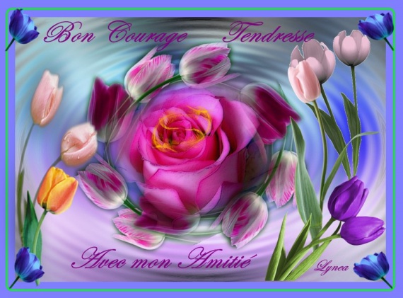 Afficher l'image d'origine