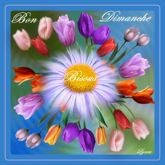 Résultat de recherche d'images pour "images bon dimanche"