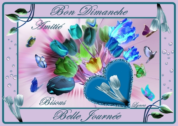 Résultat de recherche d'images pour "gifs chats bon dimanche"