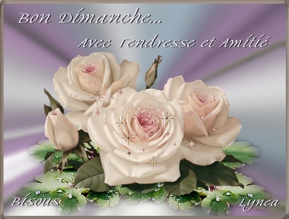 Résultat de recherche d'images pour "bon dimanche"
