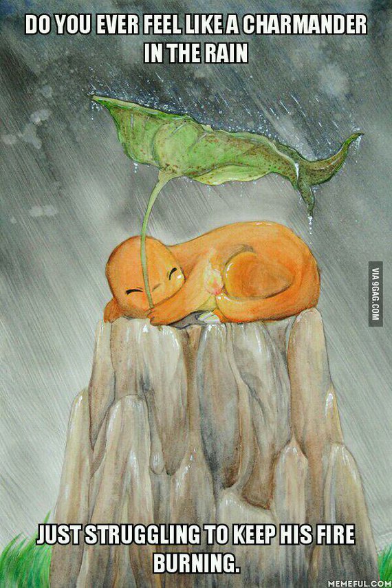 charmander charmander
