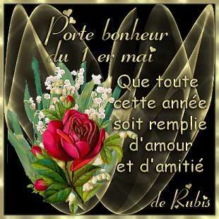 Afficher limage dorigine