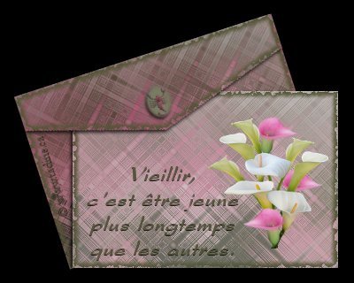 plan cancer soins palliatifs cancer de l'estomac metastases