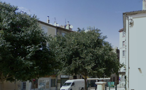 quel arbre vis a vis