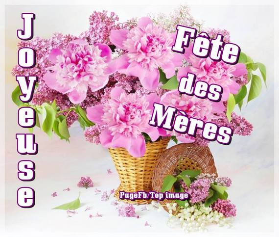 Most cancers des ovaires take a look at alimentation cancer triple negatif