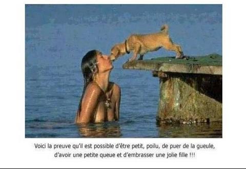 Afficher l'image d'origine