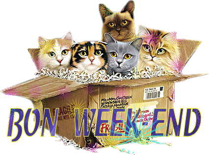 Résultat de recherche d'images pour "gif week end"