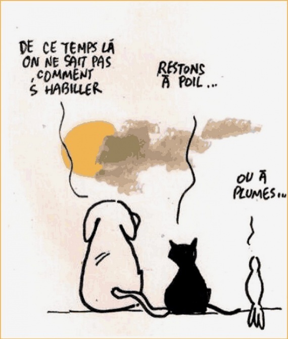 Humour Du Samedi 8 Decembre 18 Chez Dom