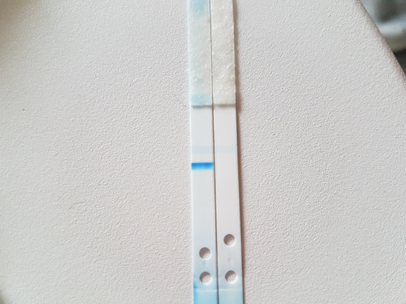 A Quoi Ressemble Une Barre D'évaporation test de grossesse positif ou barre d'évaporation ? - Page : 2 - Tests