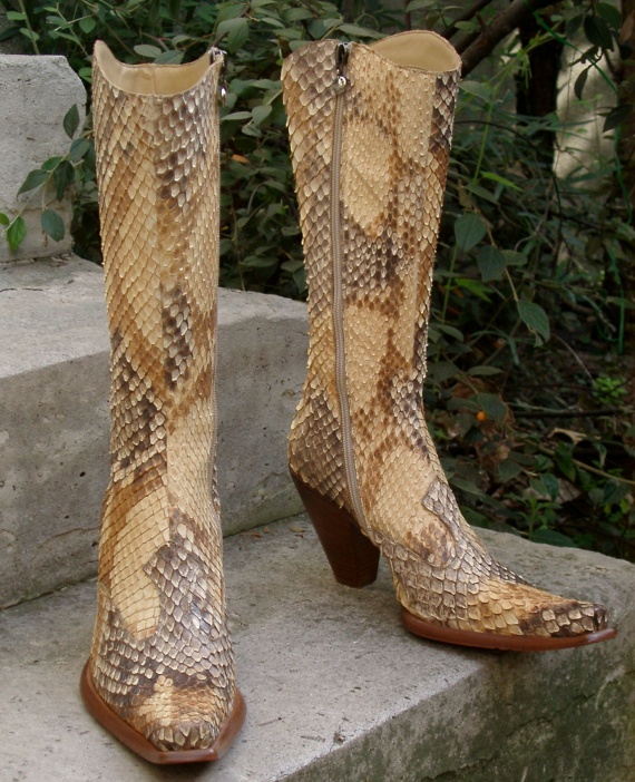 python chaussures