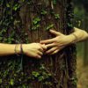 La sylvothérapie : de l’intérêt d’embrasser des arbres