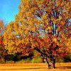 15 idées pour un automne sans déprime