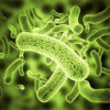 9 symptômes qui avertissent de la présence de parasites dans le corps