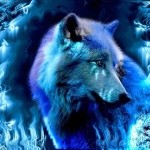 Avatar de Bluefirewolf